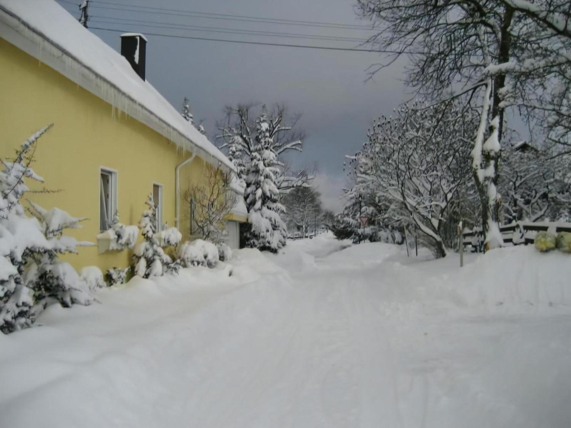 Grosse Ferienwohnung Mit Balkon Und Garten Steinen  Екстер'єр фото